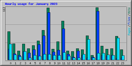 Hourly usage for January 2023